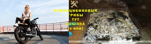 шишки Белокуриха