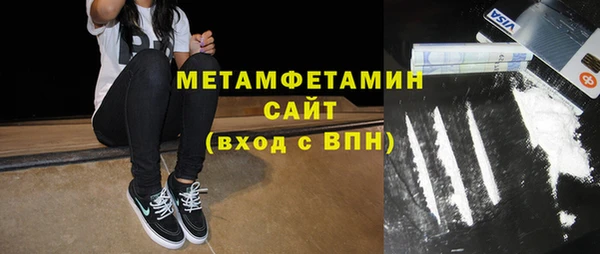 шишки Белокуриха