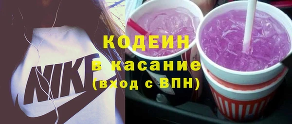 шишки Белокуриха