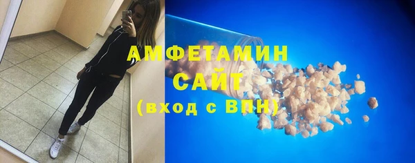 шишки Белокуриха
