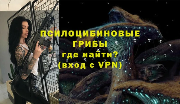 шишки Белокуриха