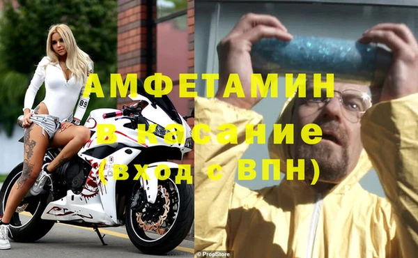 шишки Белокуриха