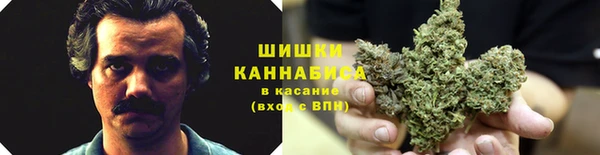 стафф Беломорск