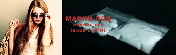 шишки Белокуриха