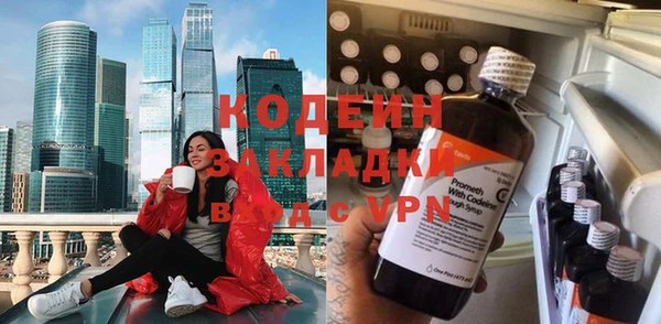 шишки Белокуриха