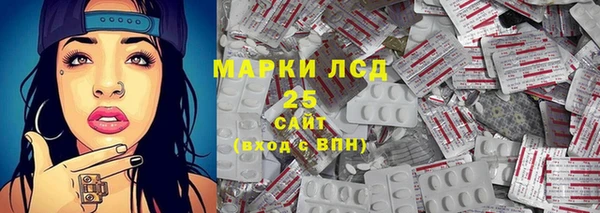 шишки Белокуриха