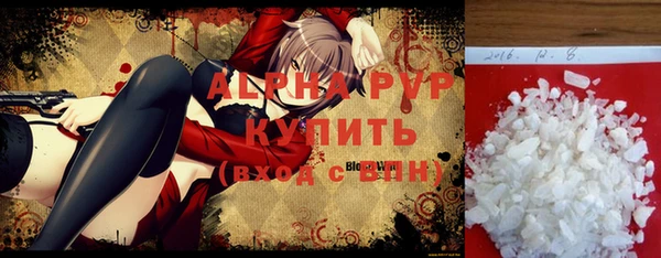 шишки Белокуриха