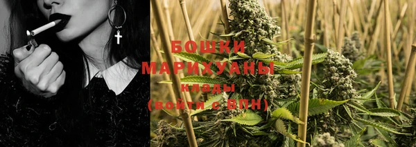 шишки Белокуриха