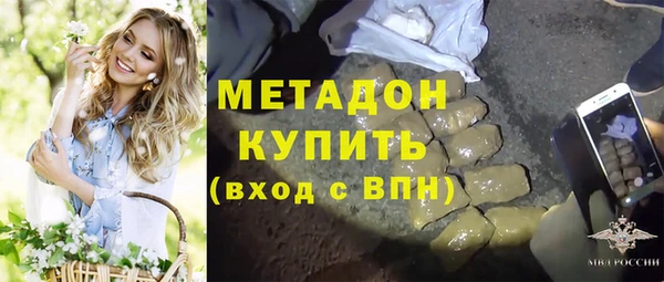 шишки Белокуриха