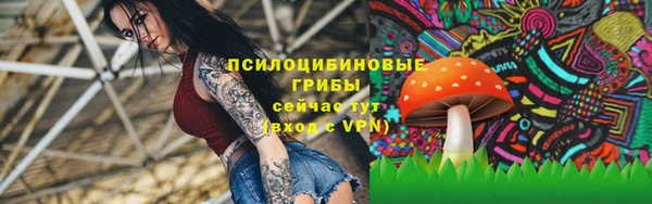 стафф Беломорск